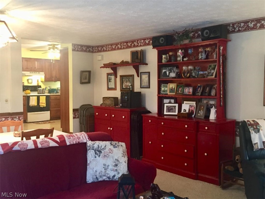 2324 Ridgewood Road Medina, OH 44256 - Photo 9 of 28 Gallery Image 9
