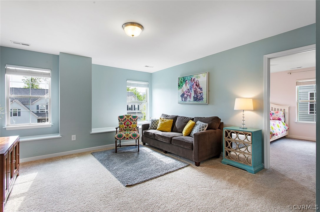 13553 Providence Run Road Ashland, VA 23005 - Photo 22 of 43 Gallery Image 22