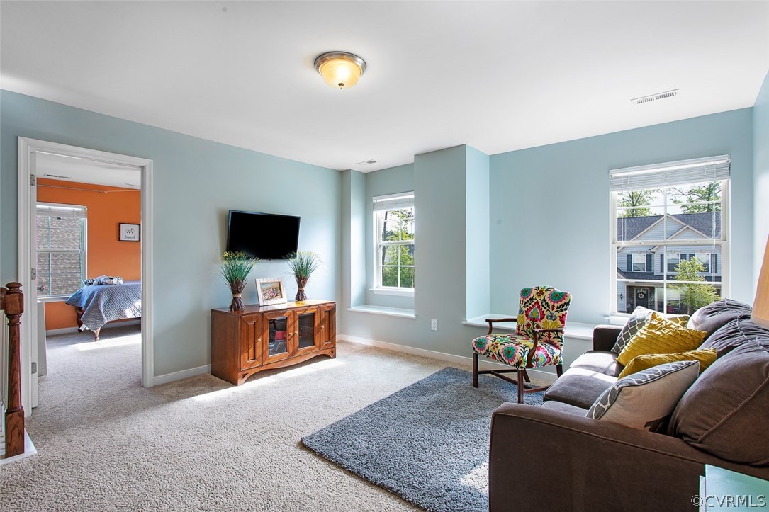 13553 Providence Run Road Ashland, VA 23005 - Photo 23 of 43 Gallery Image 23