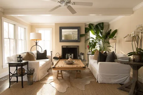 a living room with furniture a fireplace and a potted plant