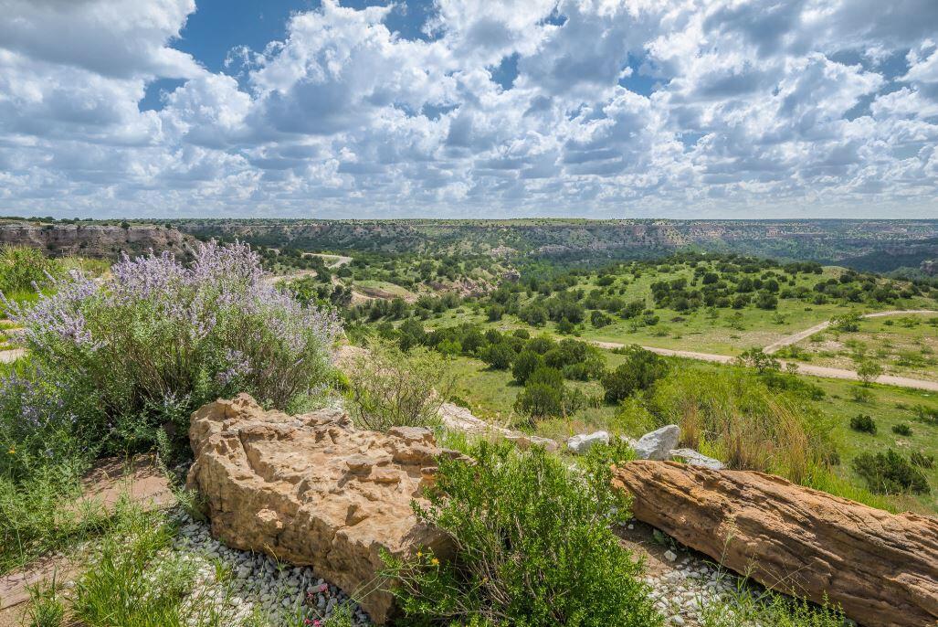 7950 East Lake View Road Amarillo, TX 79118 - Photo 39 of 49 Canyon view