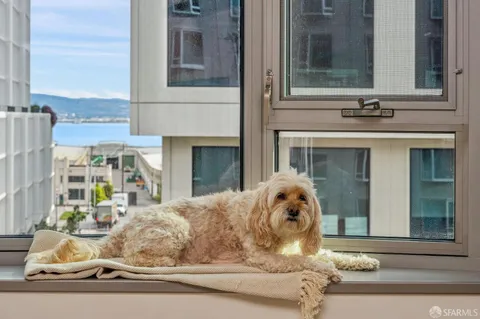 $1,029,000 | 1000 3rd Street, Unit 720, San Francisco, CA 94158