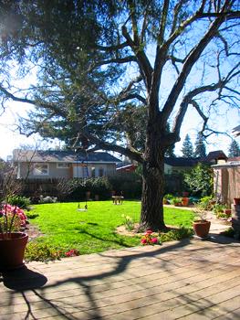712 Wheeler Street Santa Rosa, CA 95404 - Photo 9 of 10 Gallery Image 9