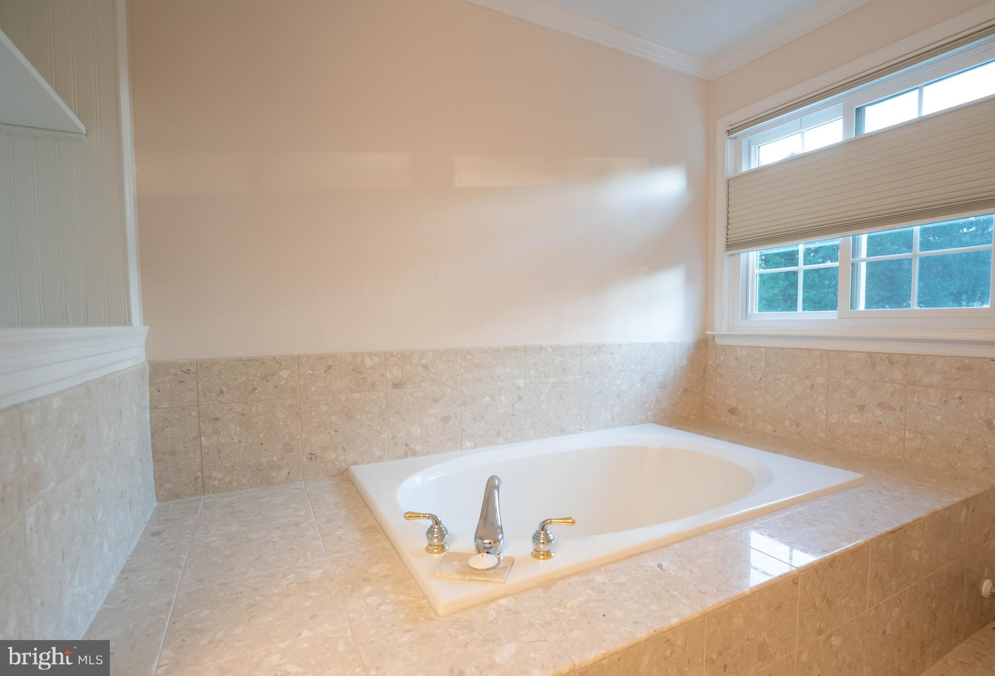 115 Troon Circle Mount Airy, MD 21771 - Photo 13 of 40 separate soaking tub