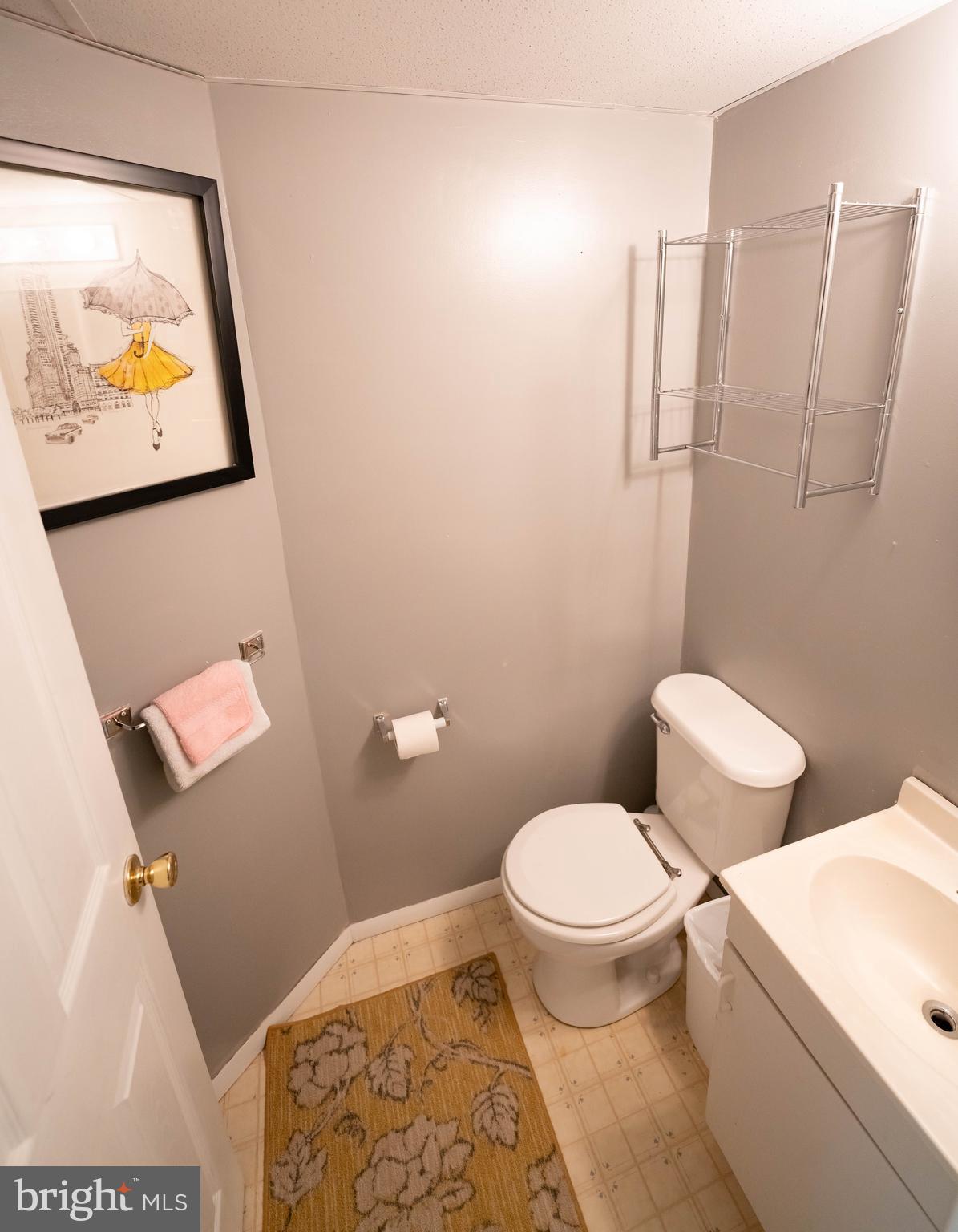 115 Troon Circle Mount Airy, MD 21771 - Photo 27 of 40 LL half bath