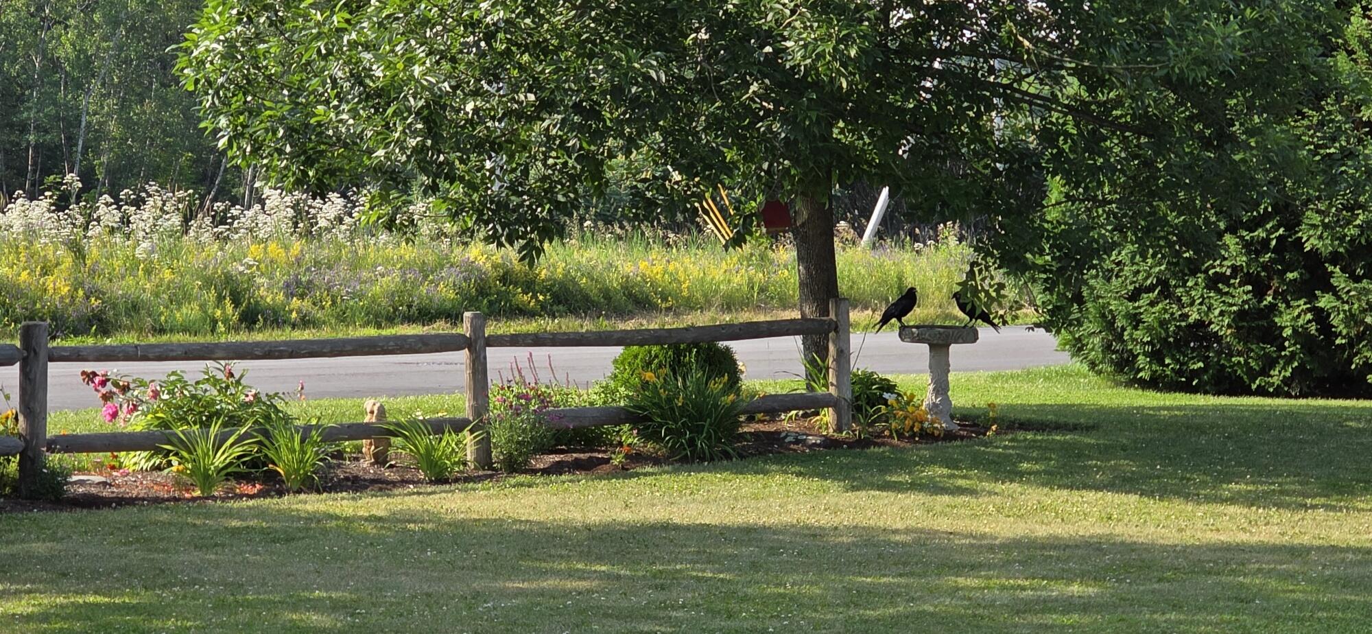 154 Judson Boulevard Bangor, ME 04401 - Photo 47 of 58 20250703_082805_resized