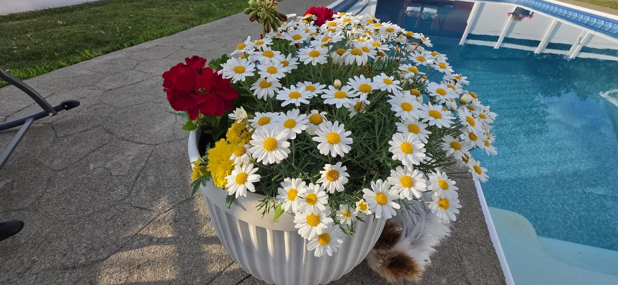 154 Judson Boulevard Bangor, ME 04401 - Photo 55 of 58 20250711_183024_resized