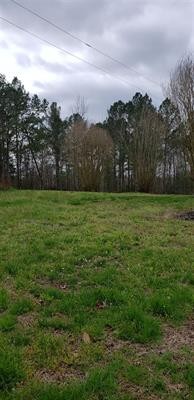 1671 Jeanette Holladay Road Parsons, TN 38363 - Photo 3 of 3 Gallery Image 3