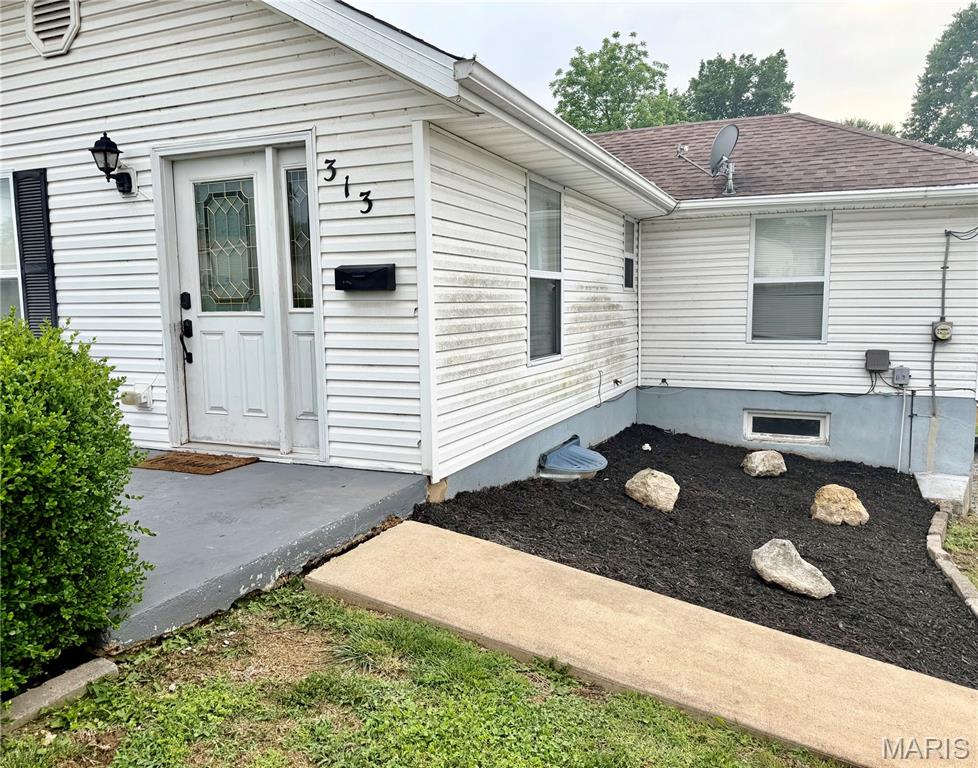 313 South Mill Street Festus, MO 63028 - Photo 2 of 20