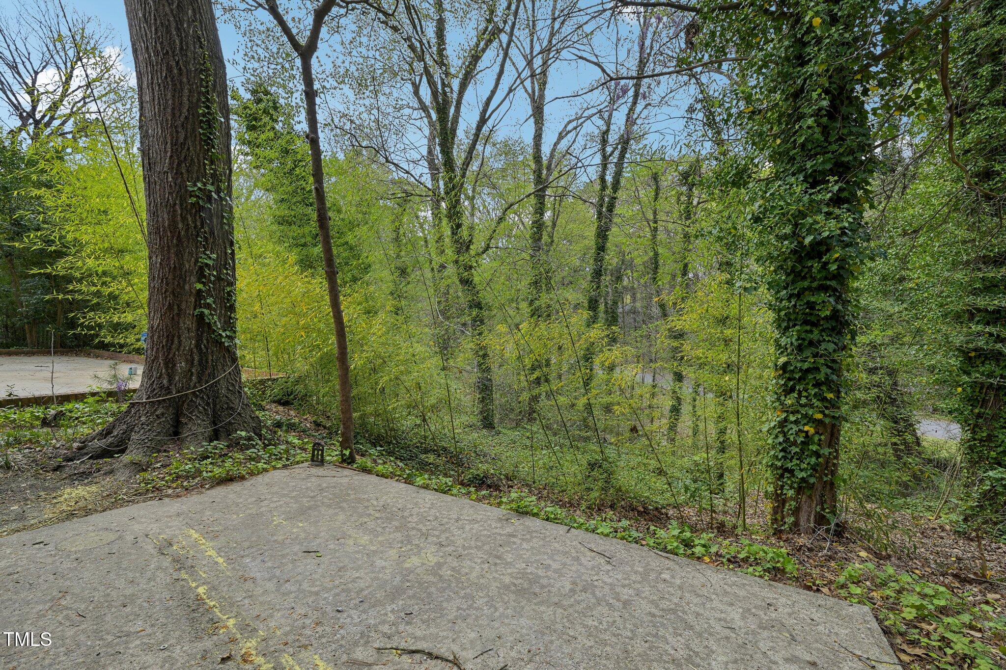 4815 Oak Park Road Raleigh, NC 27612 - Photo 45 of 50 42-web-or-mls-Oak Park Rd-03042025-042