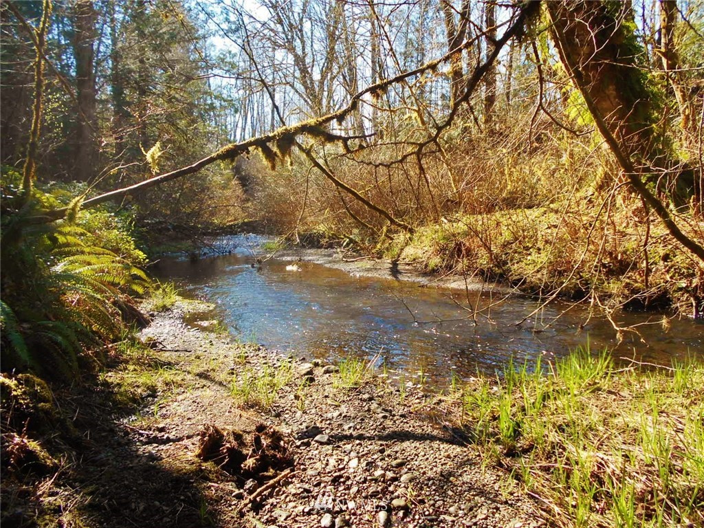 0 D Olin Road Quilcene, WA 98376 - Photo 1 of 20