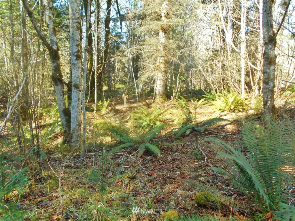 0 D Olin Road Quilcene, WA 98376 - Photo 13 of 20