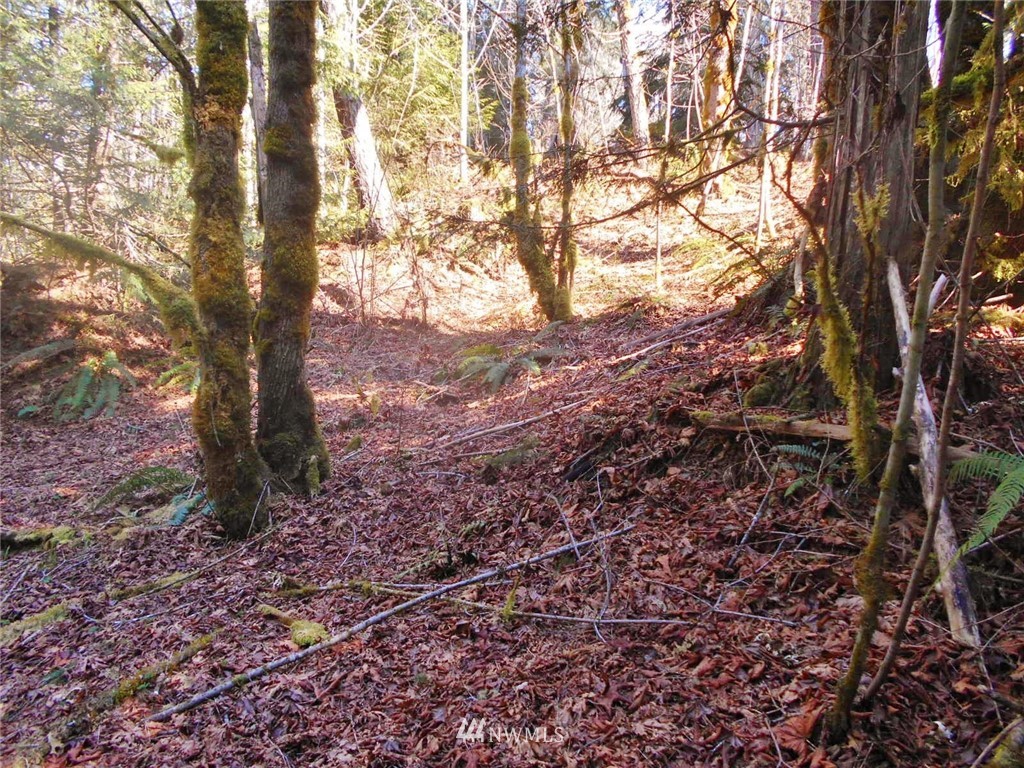 0 D Olin Road Quilcene, WA 98376 - Photo 15 of 20