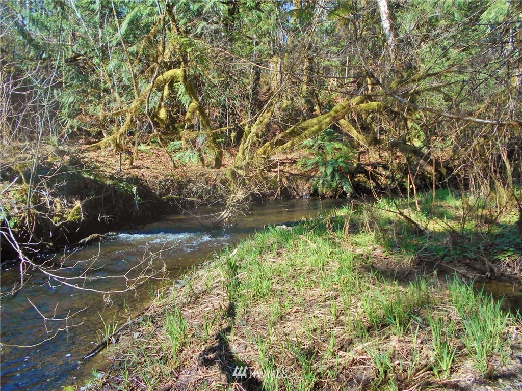 0 D Olin Road Quilcene, WA 98376 - Photo 16 of 20
