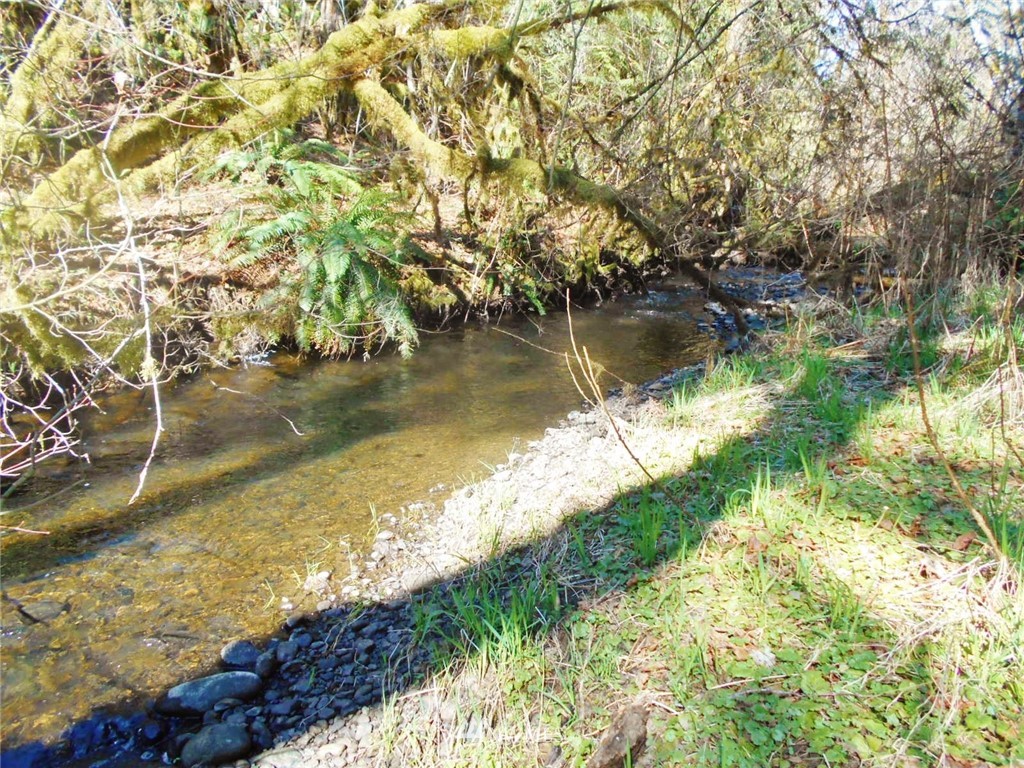 0 D Olin Road Quilcene, WA 98376 - Photo 17 of 20