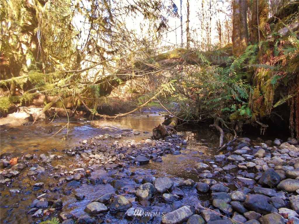 0 D Olin Road Quilcene, WA 98376 - Photo 19 of 20