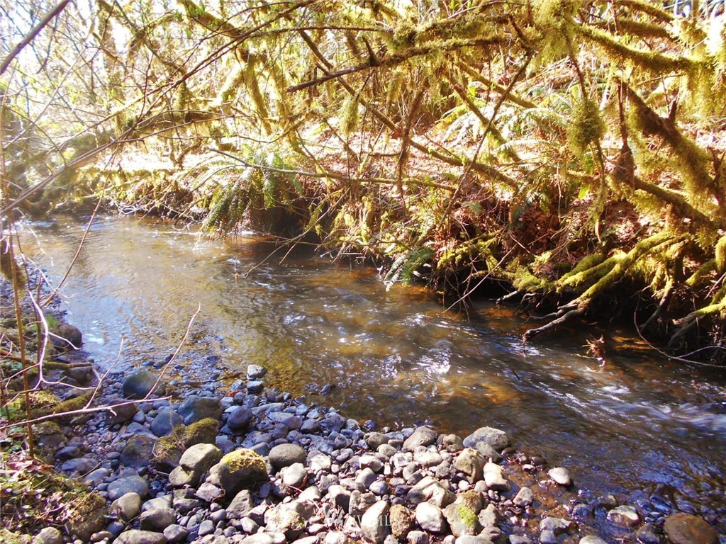 0 D Olin Road Quilcene, WA 98376 - Photo 3 of 20