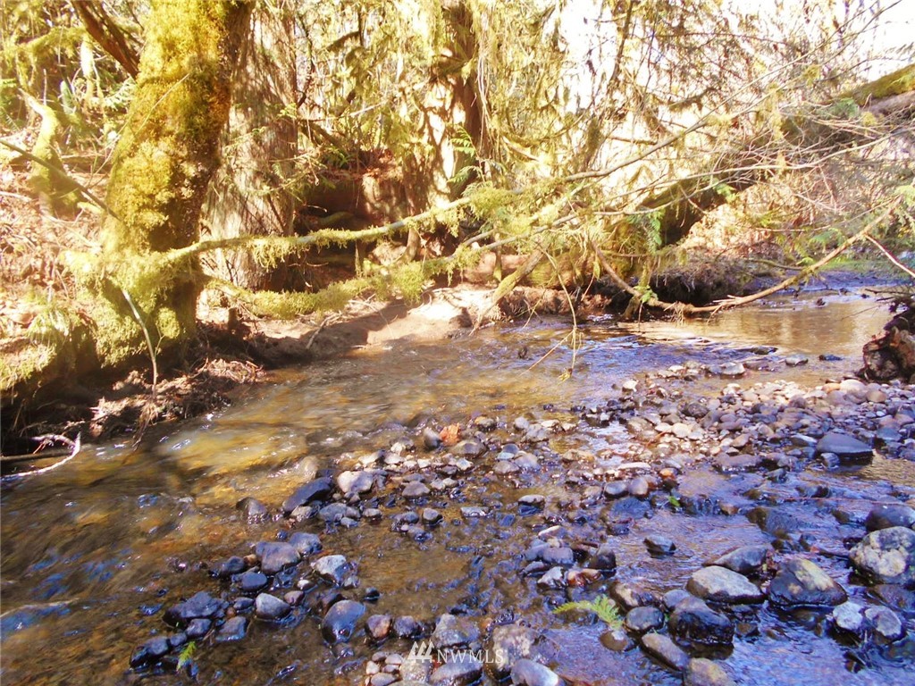 0 D Olin Road Quilcene, WA 98376 - Photo 7 of 20