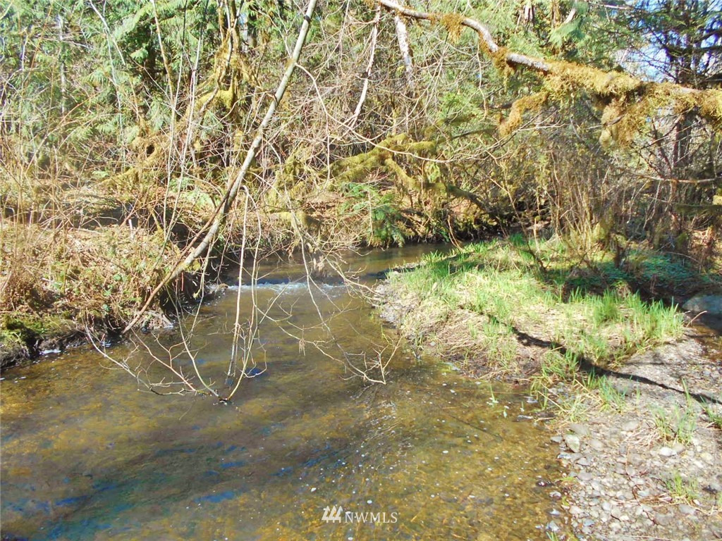 0 D Olin Road Quilcene, WA 98376 - Photo 10 of 20