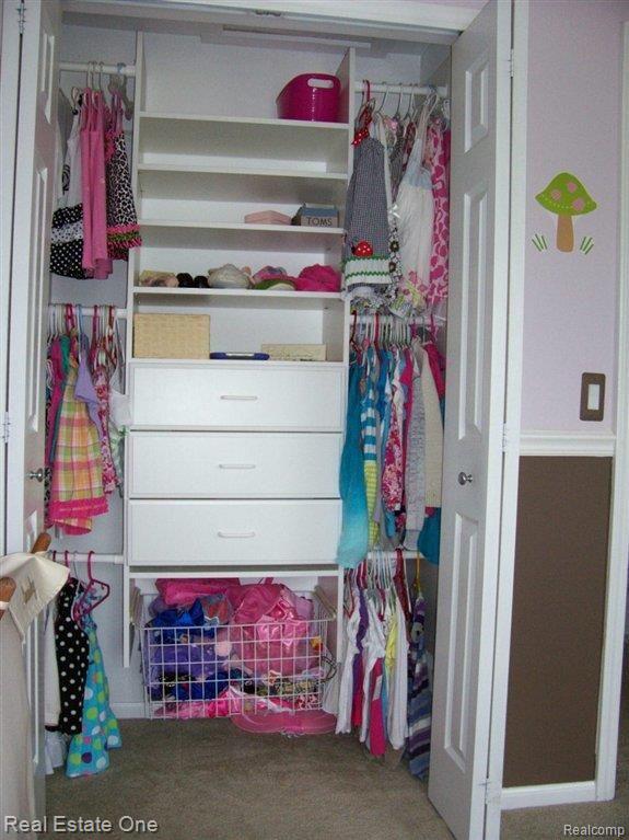 896 Darwin Pl Drive Rochester, MI 48307 - Photo 12 of 24 Interior closet organizers