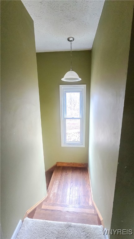 3187 Greenman Road Mina, NY 14736 - Photo 18 of 31