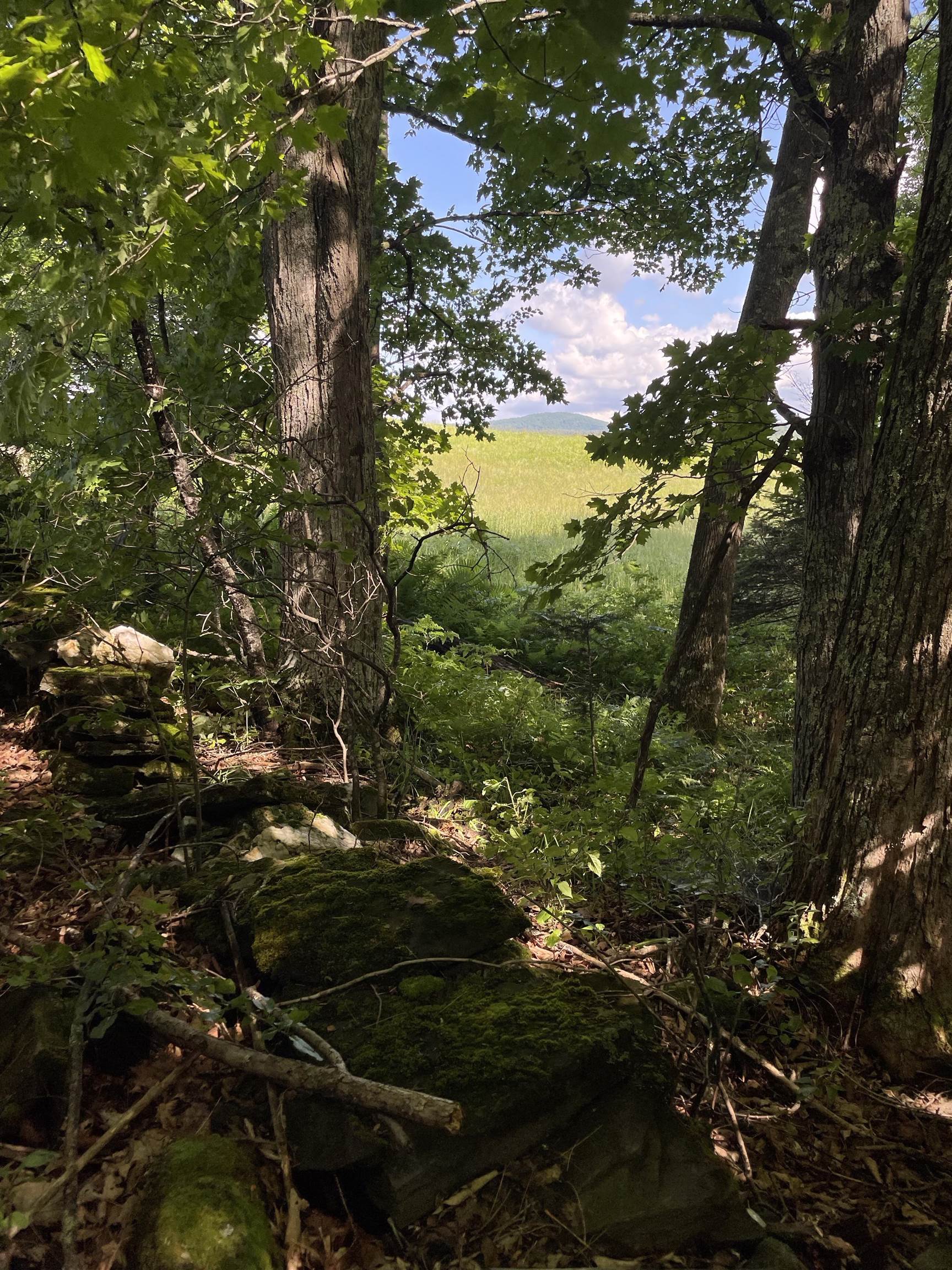 0 Ledge Hill Road East Calais, VT 05650 - Photo 1 of 47