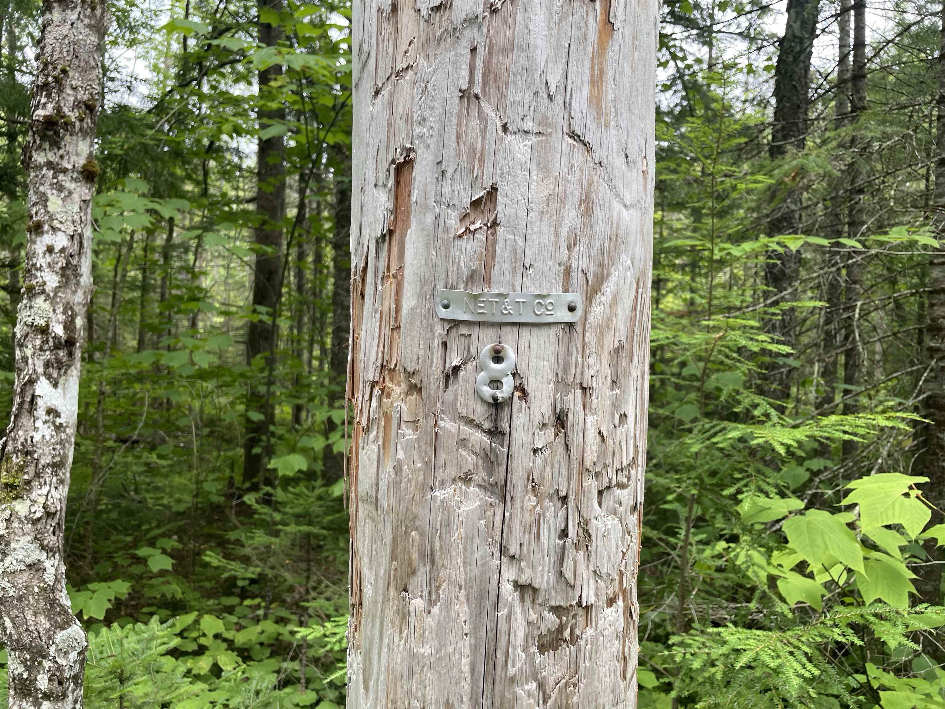 0 Ledge Hill Road East Calais, VT 05650 - Photo 14 of 47