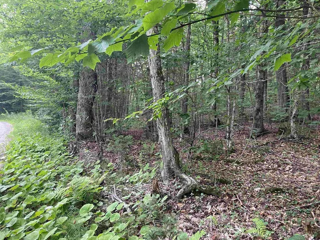 $275,000 | 0 Ledge Hill Road, East Calais, VT 05650