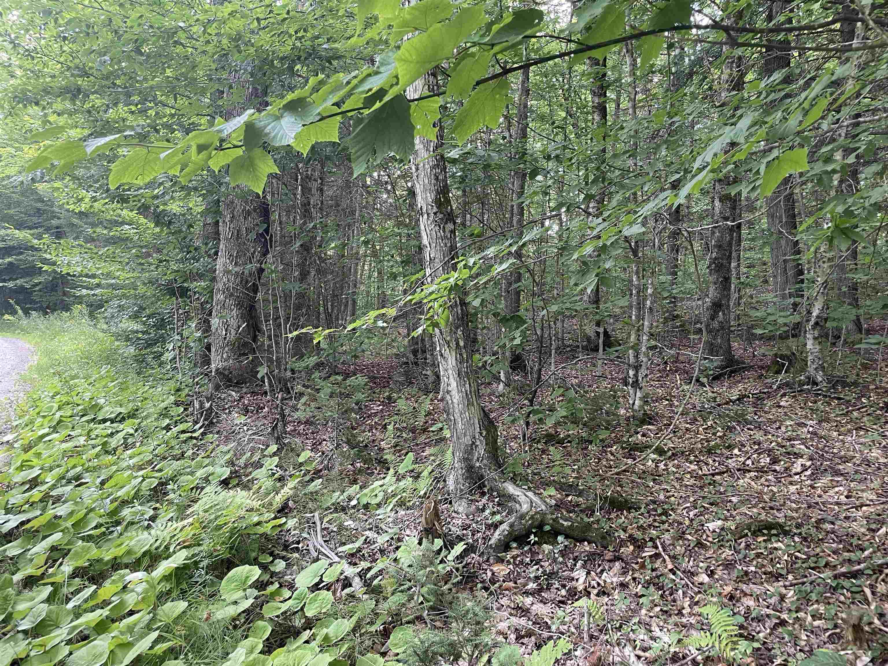 0 Ledge Hill Road East Calais, VT 05650 - Photo 15 of 47