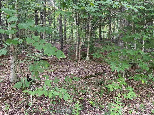 $275,000 | 0 Ledge Hill Road, East Calais, VT 05650