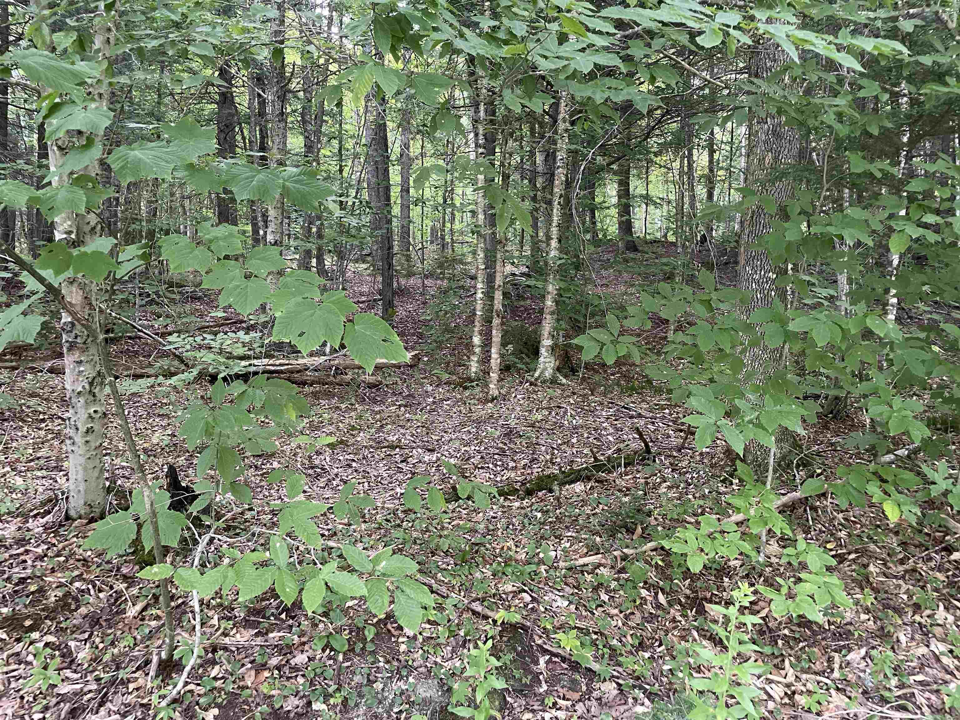 0 Ledge Hill Road East Calais, VT 05650 - Photo 16 of 47