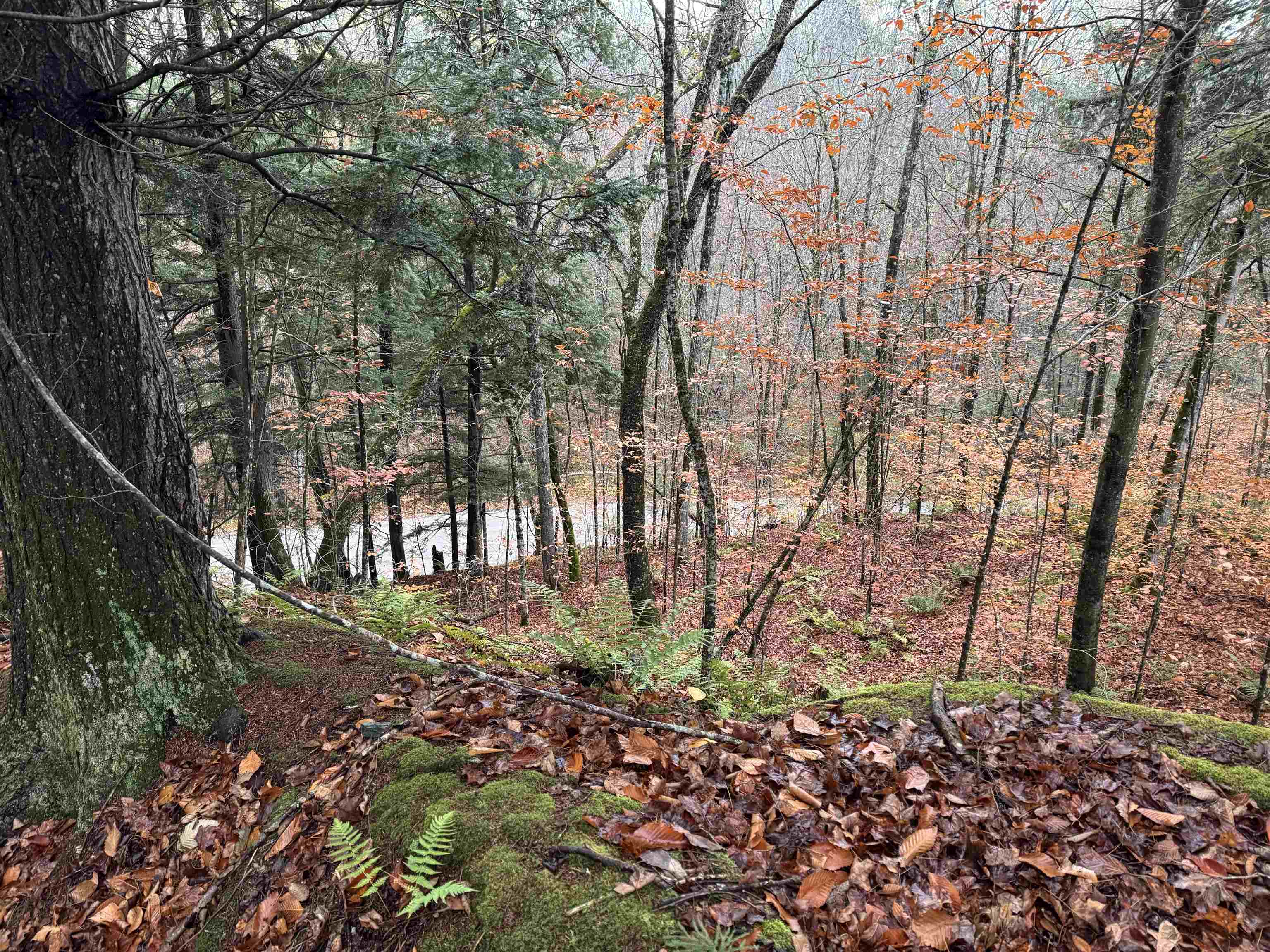 0 Ledge Hill Road East Calais, VT 05650 - Photo 17 of 47