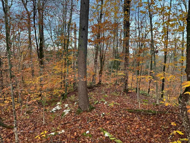 $275,000 | 0 Ledge Hill Road, East Calais, VT 05650