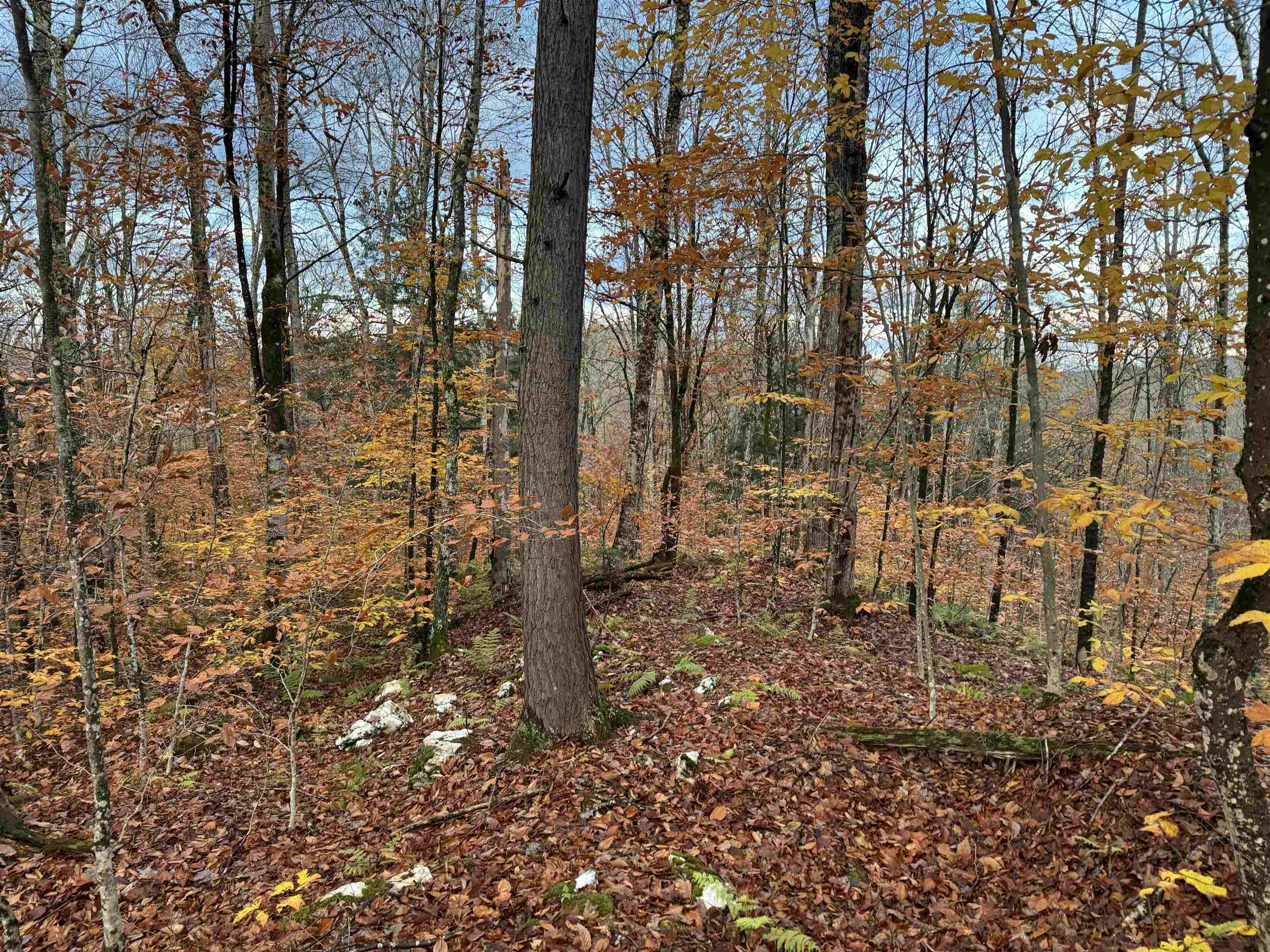 0 Ledge Hill Road East Calais, VT 05650 - Photo 18 of 47