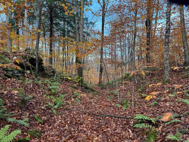 $275,000 | 0 Ledge Hill Road, East Calais, VT 05650