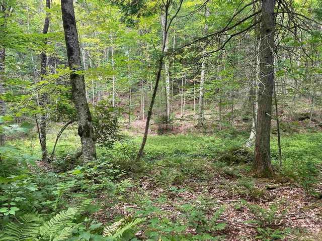 $275,000 | 0 Ledge Hill Road, East Calais, VT 05650