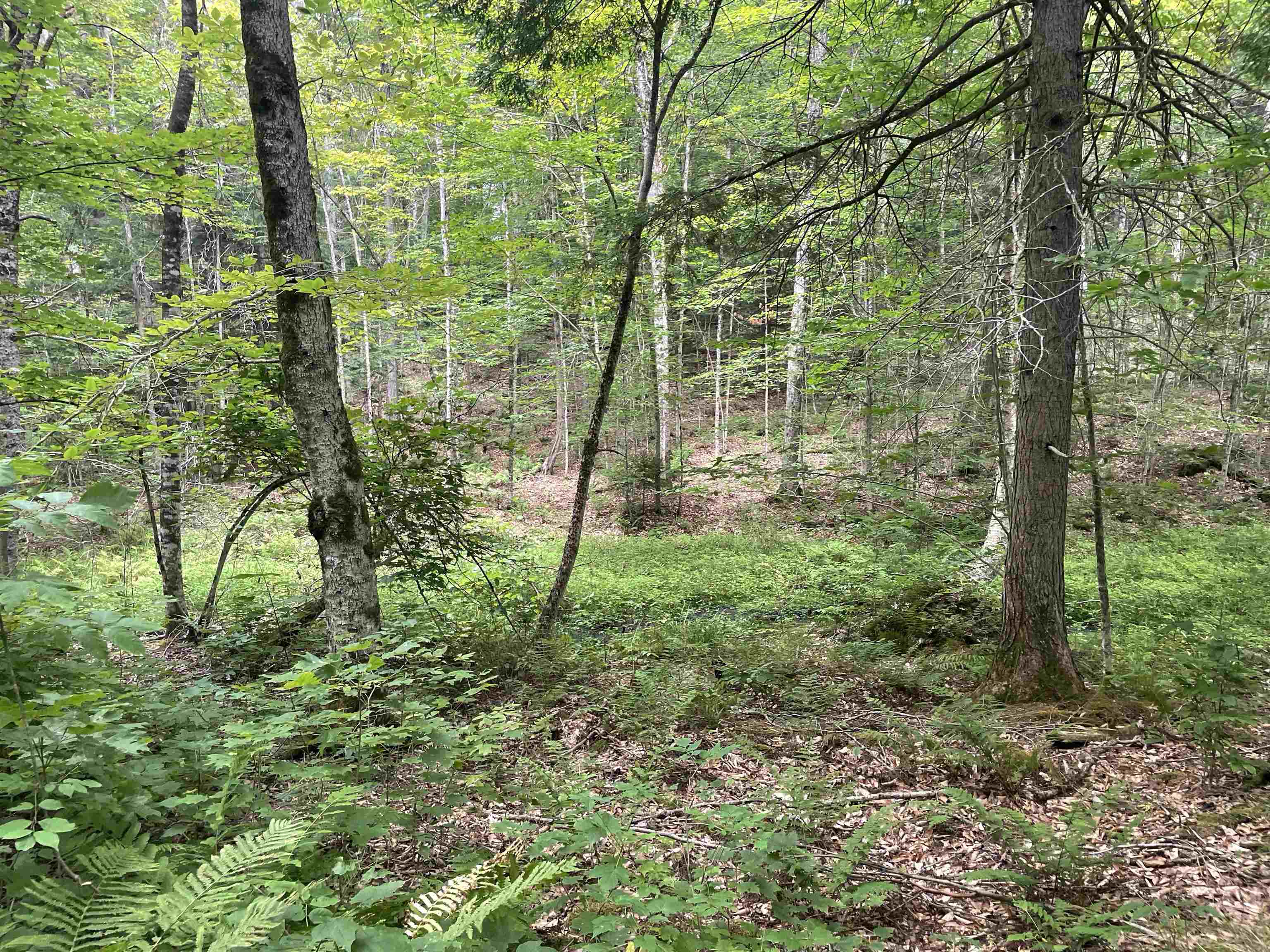 0 Ledge Hill Road East Calais, VT 05650 - Photo 20 of 47