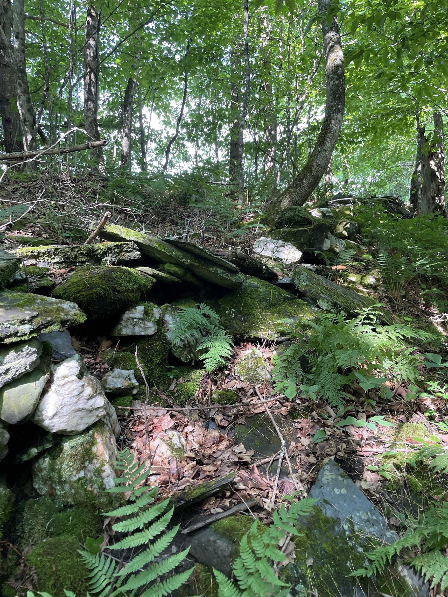 0 Ledge Hill Road East Calais, VT 05650 - Photo 2 of 47