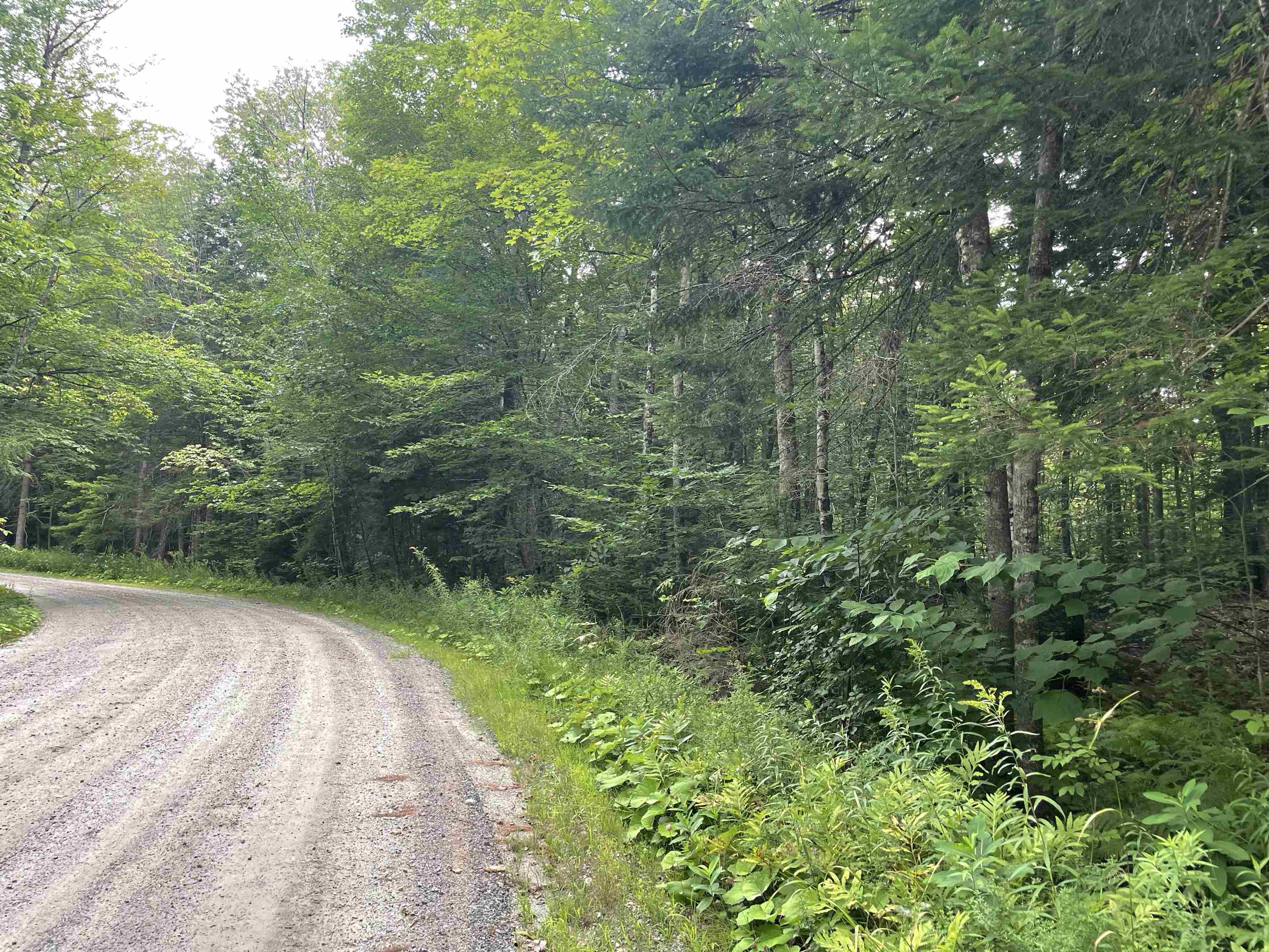 0 Ledge Hill Road East Calais, VT 05650 - Photo 21 of 47