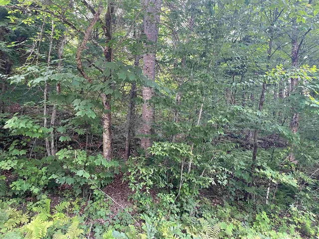 $275,000 | 0 Ledge Hill Road, East Calais, VT 05650