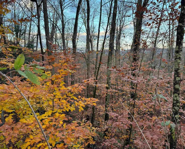 $275,000 | 0 Ledge Hill Road, East Calais, VT 05650