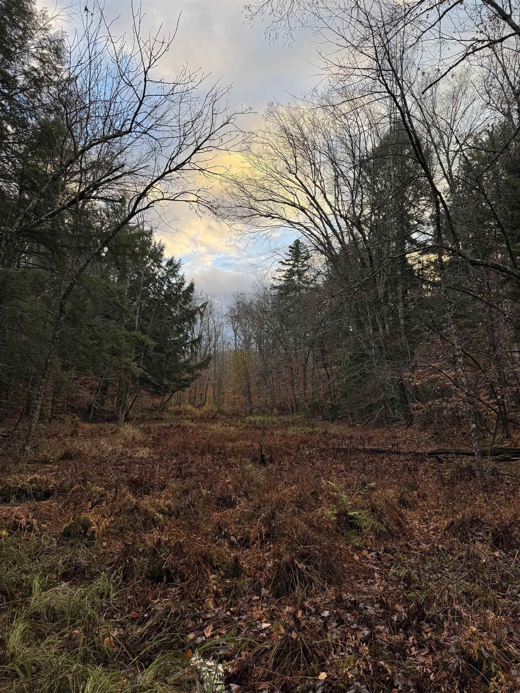 0 Ledge Hill Road East Calais, VT 05650 - Photo 28 of 47