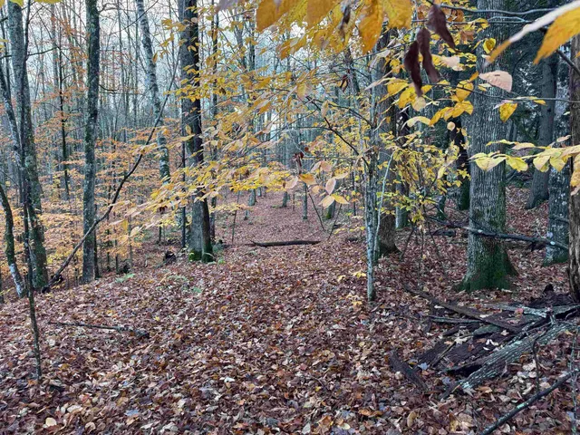 $275,000 | 0 Ledge Hill Road, East Calais, VT 05650