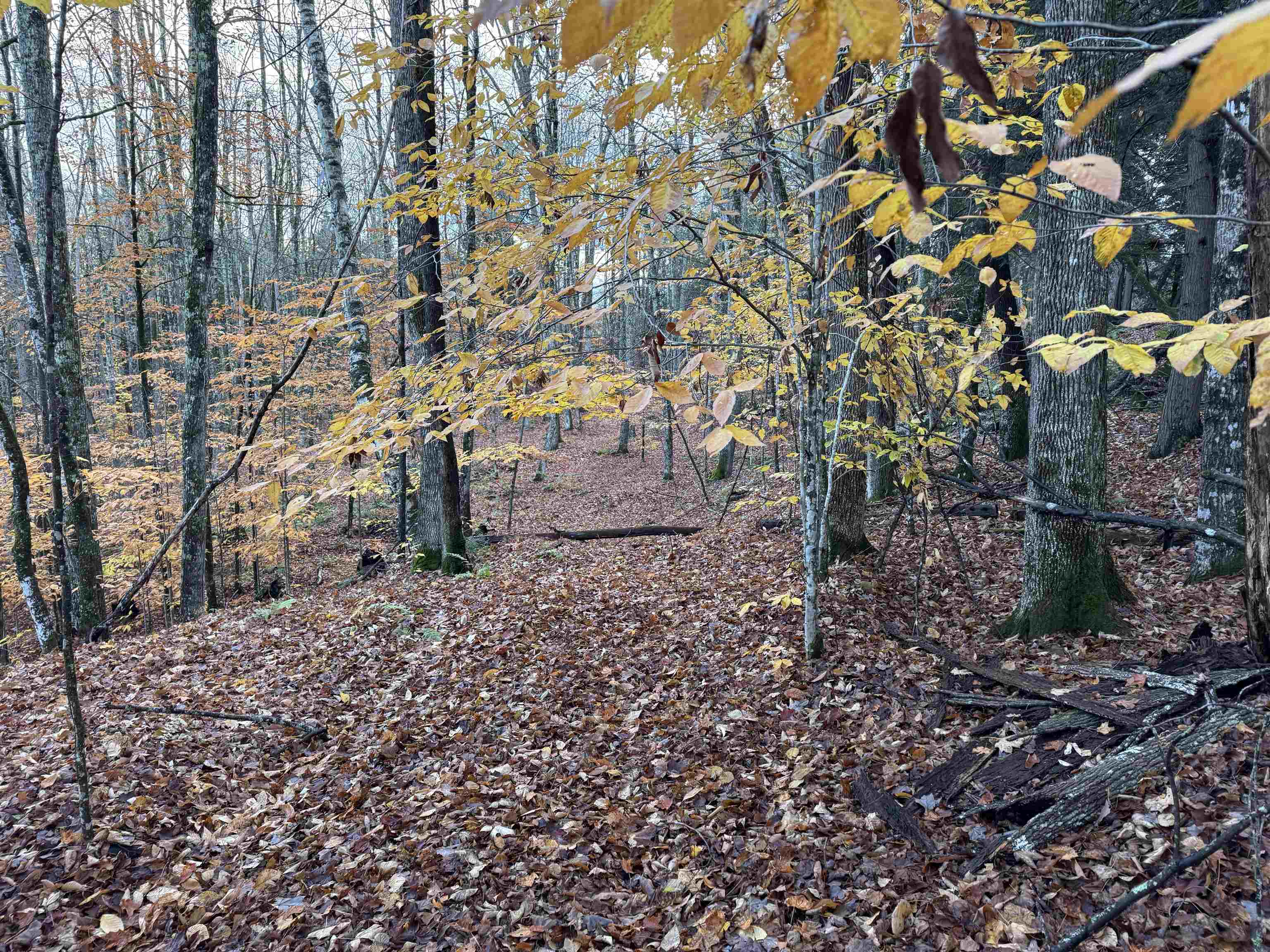 0 Ledge Hill Road East Calais, VT 05650 - Photo 30 of 47