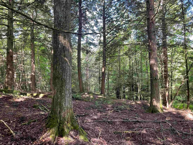 $275,000 | 0 Ledge Hill Road, East Calais, VT 05650