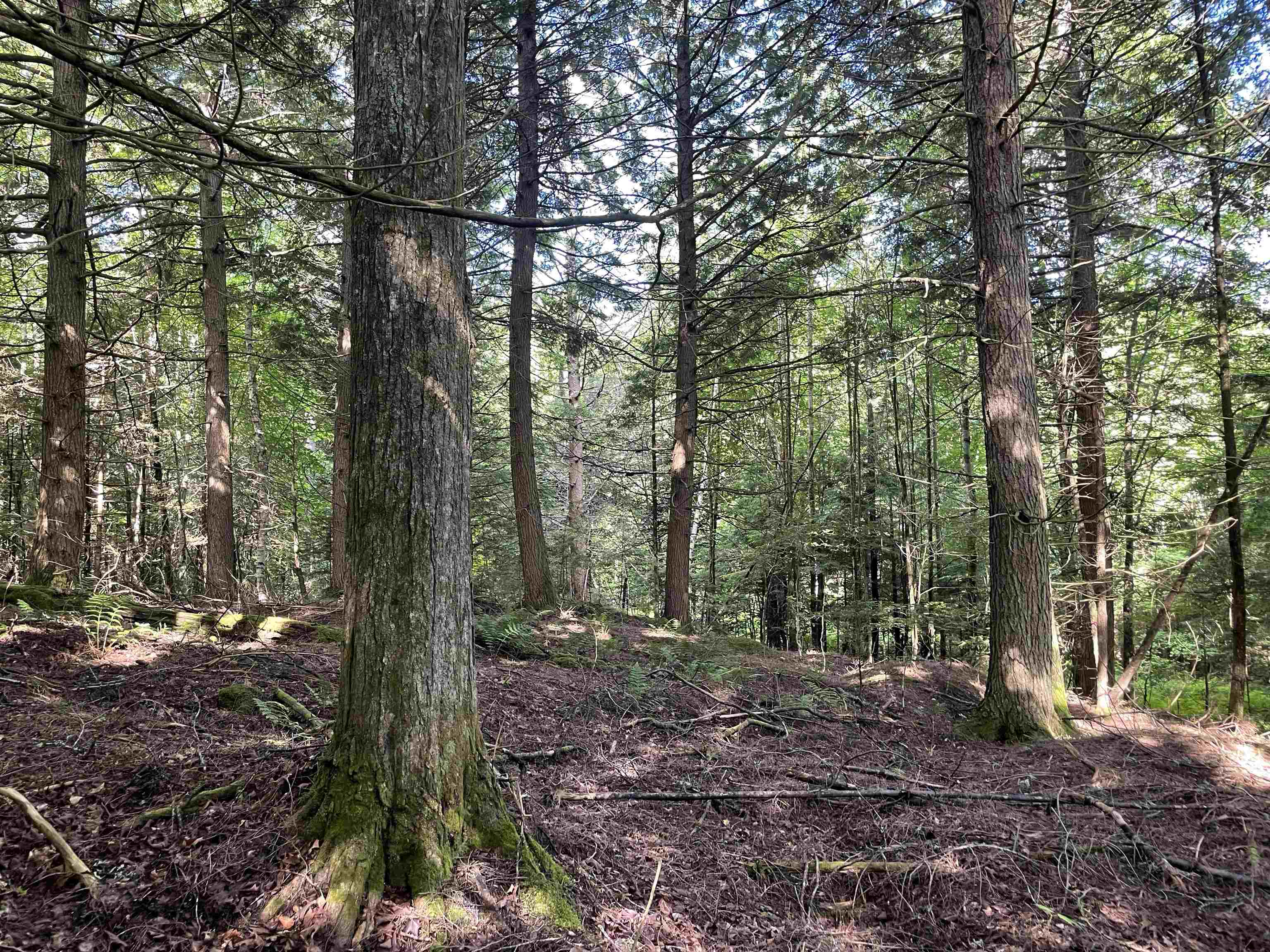 0 Ledge Hill Road East Calais, VT 05650 - Photo 3 of 47