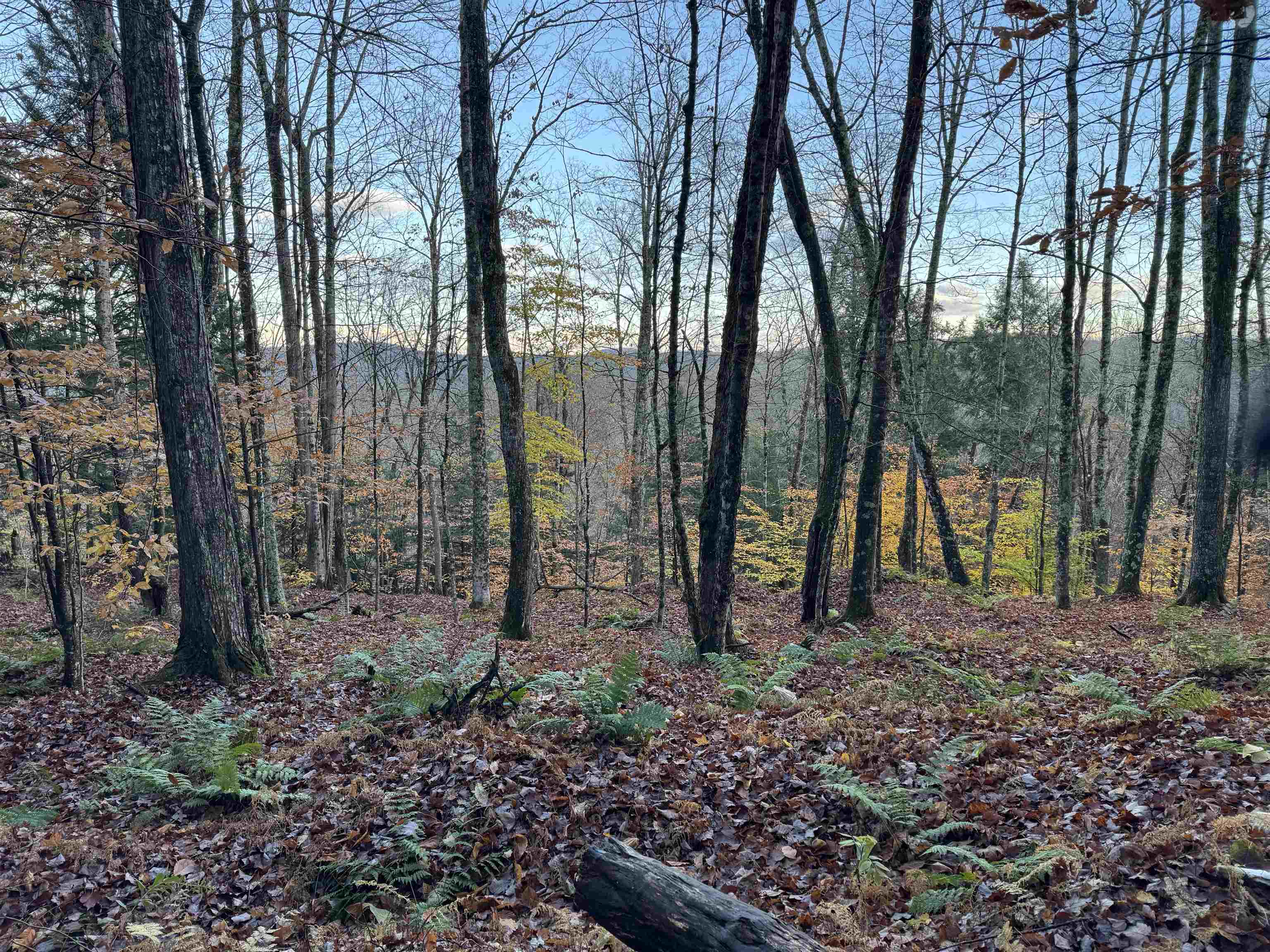 0 Ledge Hill Road East Calais, VT 05650 - Photo 31 of 47