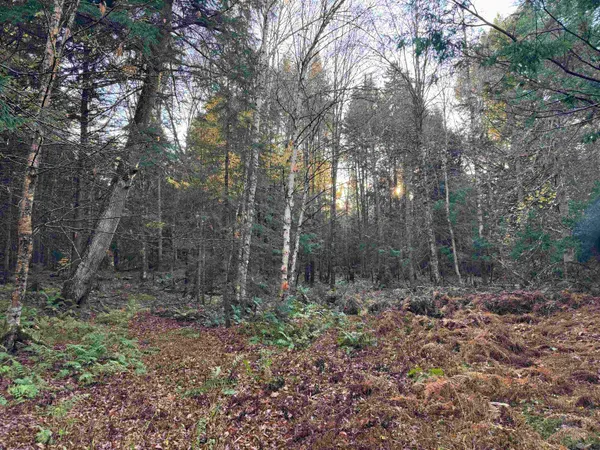 $275,000 | 0 Ledge Hill Road, East Calais, VT 05650