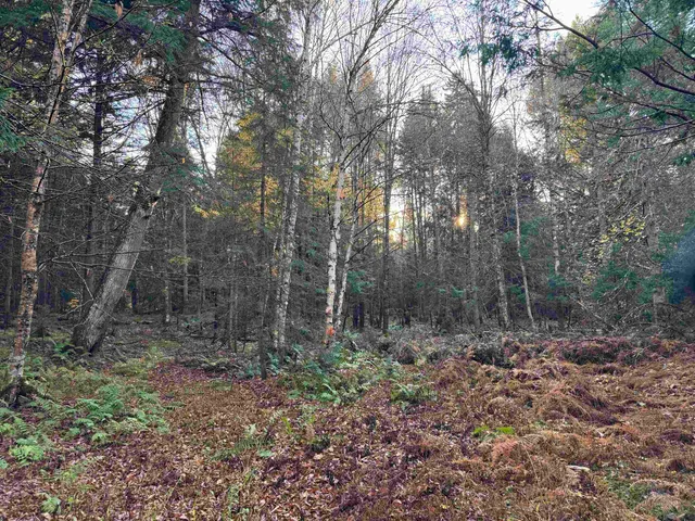$275,000 | 0 Ledge Hill Road, East Calais, VT 05650
