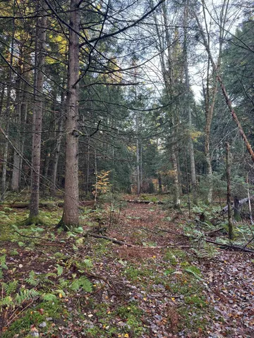 $275,000 | 0 Ledge Hill Road, East Calais, VT 05650